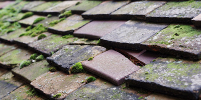 Peniel roof repair costs